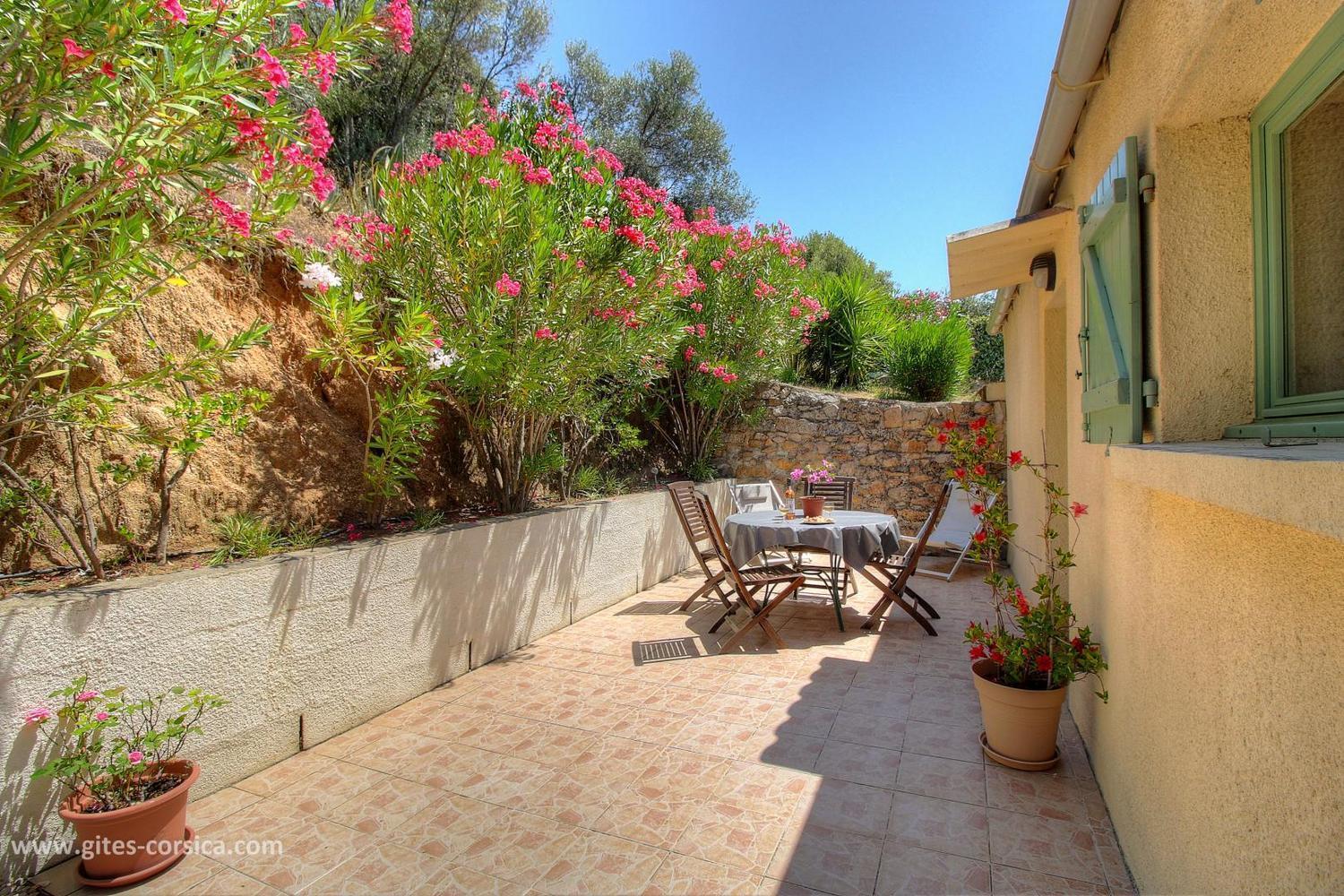 L'Amandier -Le Figuier-Les Lauriers Roses Ajaccio  Exterior photo